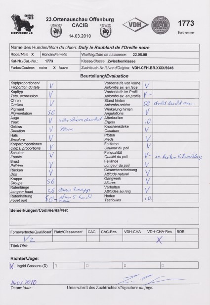 Richterbericht Dufy 14.3.2010 Offenburg Custom
