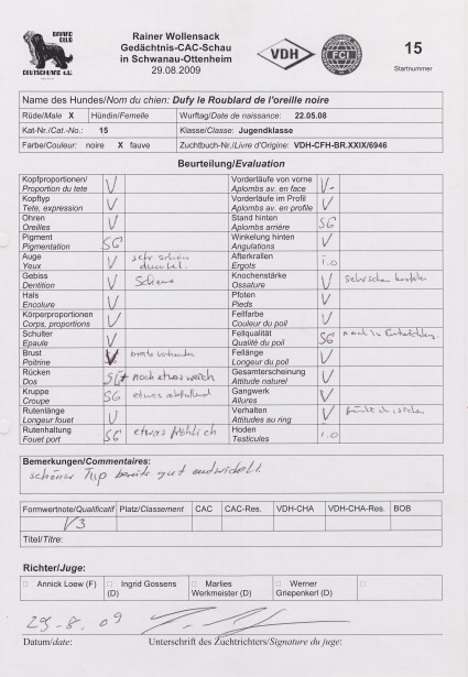 Richterbericht Dufy 29.8.09 Wollenzack Custom